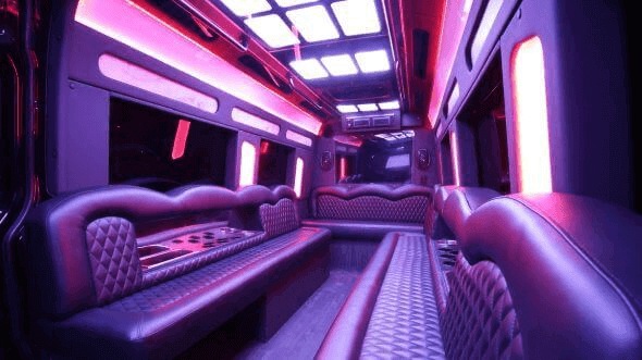 anchorage 15 passenger party bus interior